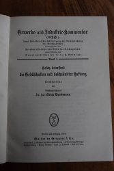 Dr. Erich Brodmann G.m.b.H. - Gesetz 1924